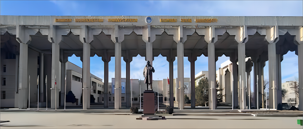 比什凯克国立大学